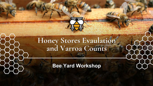 Varroa Counts and Honey Stores Evaluation