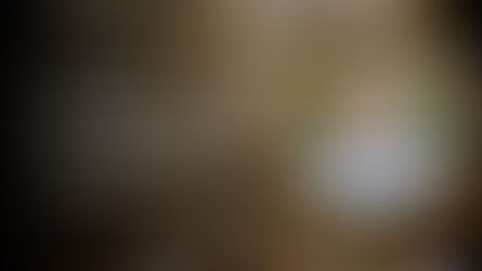 Bees swarm background with text: "Bee Health and Integrated Pest Management with David Westervelt," his portrait in a circle overlay.