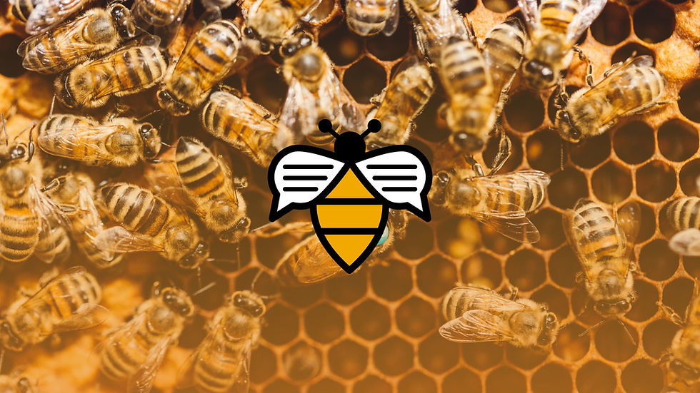 Bees swarm a honeycomb with a stylized bee logo on top. The background is a warm, honey-yellow color, evoking a bustling hive.