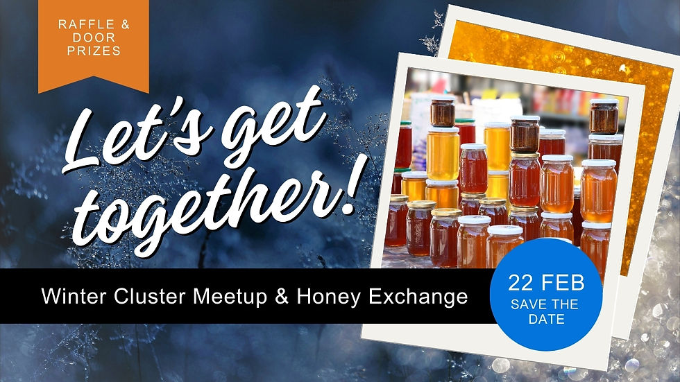 Winter Cluster Meetup graphic