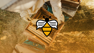 Bee Talks Recap | November 2023