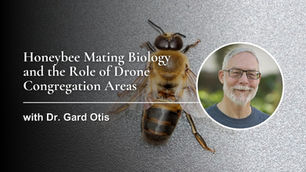 Honeybee Mating Biology and the Role of Drone Congregation Areas with Dr. Gard Otis