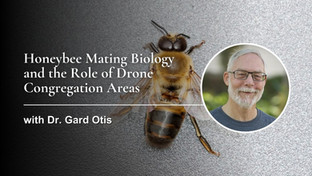 Honeybee Mating Biology and the Role of Drone Congregation Areas with Dr. Gard Otis