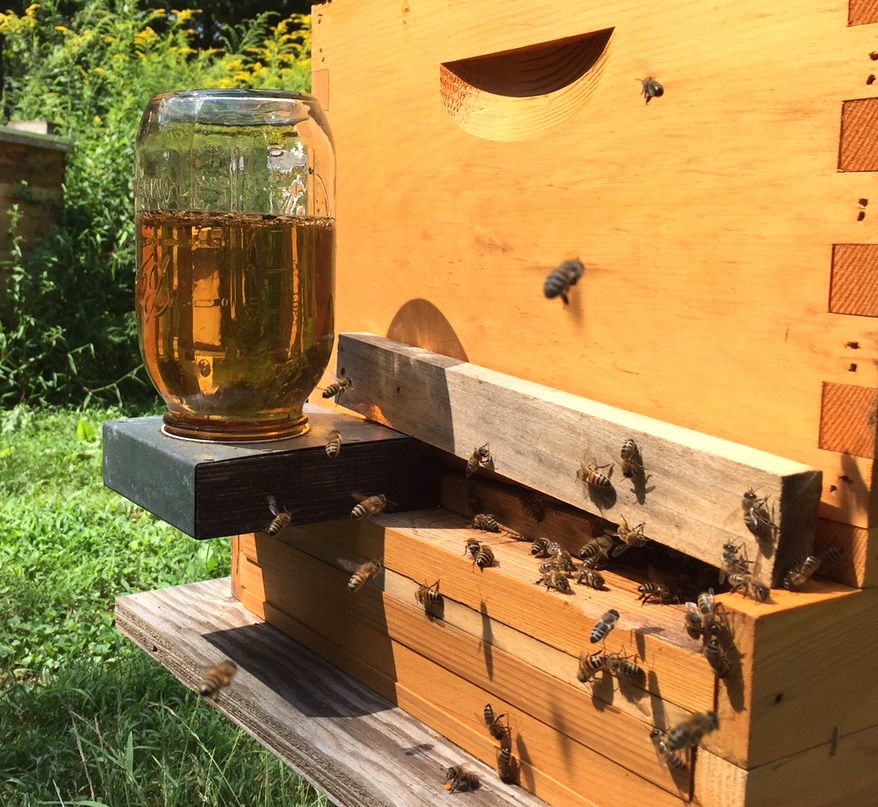 Cup of bee tea shown on a ledge next to a bee hive.