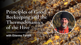Principles of Good Beekeeping and the Thermodynamics of the Hive with Etienne Tardif