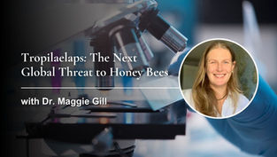Tropilaelaps: The Next Global Threat to Honey Bees with Dr. Maggie Gill