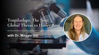 Tropilaelaps: The Next Global Threat to Honey Bees with Dr. Maggie Gill