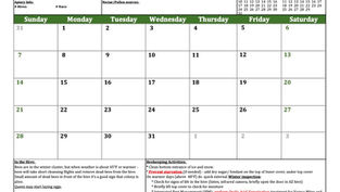 New England Beekeeping Calendar