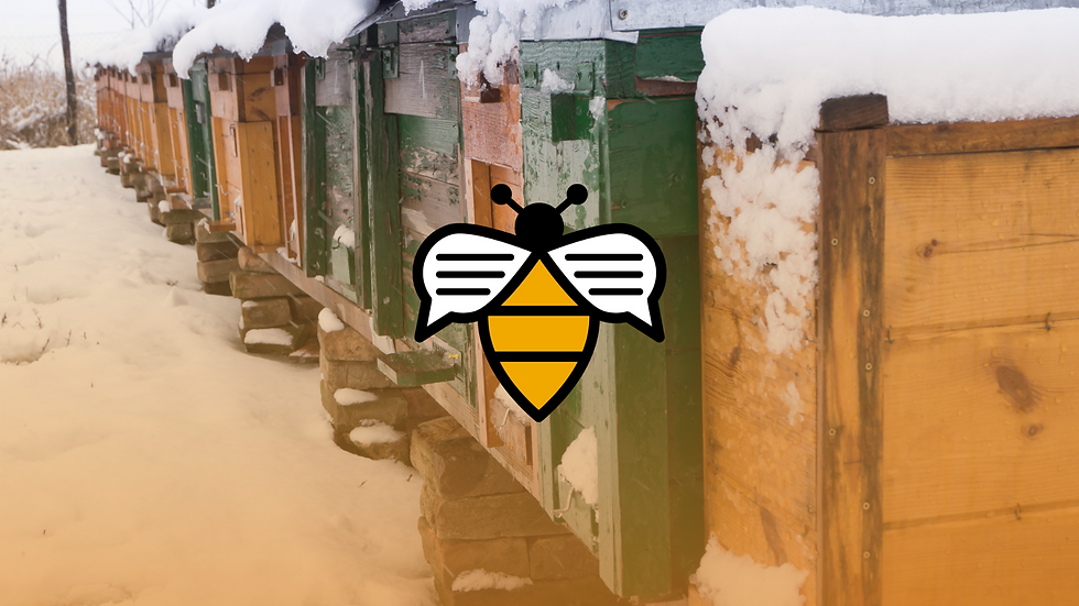 Bee Talks