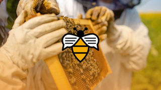 Beekeepers in protective gear inspect a honeycomb frame full of bees outdoors. A bee logo overlays the image, adding emphasis.