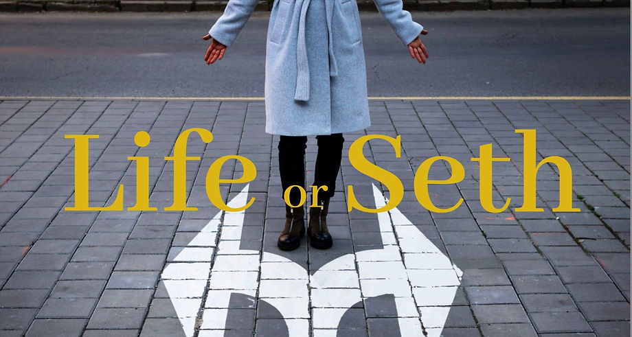 Person in gray coat stands on paved street, arms open. "Life or Seth" text over white arrow symbol on the ground. Urban setting.