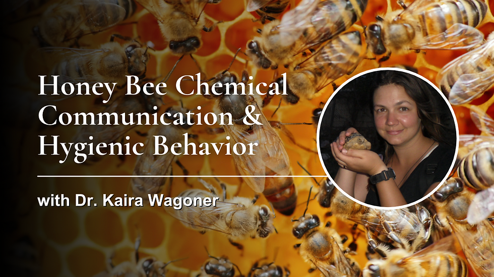 Honey Bee Chemical Communication & Hygienic Behavior with Dr. Kaira Wagoner