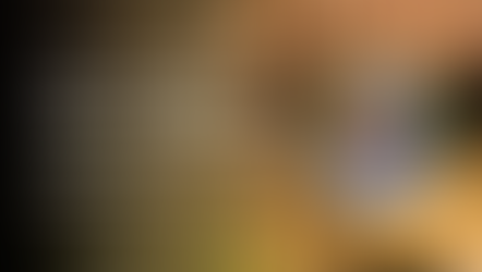 The Dynamics of Honey Bee Flight and Sexual Reproduction with Bill Hesbach