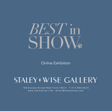 'Best In Show'