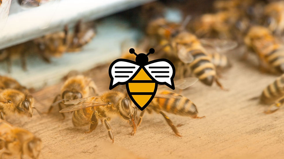 Bees on a honeycomb, busy and active. A stylized bee icon is centered. The honeycomb is vibrant yellow against a blurred green background.