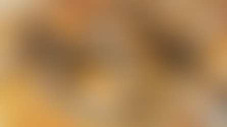 Participate in The North America Mite-A-Thon