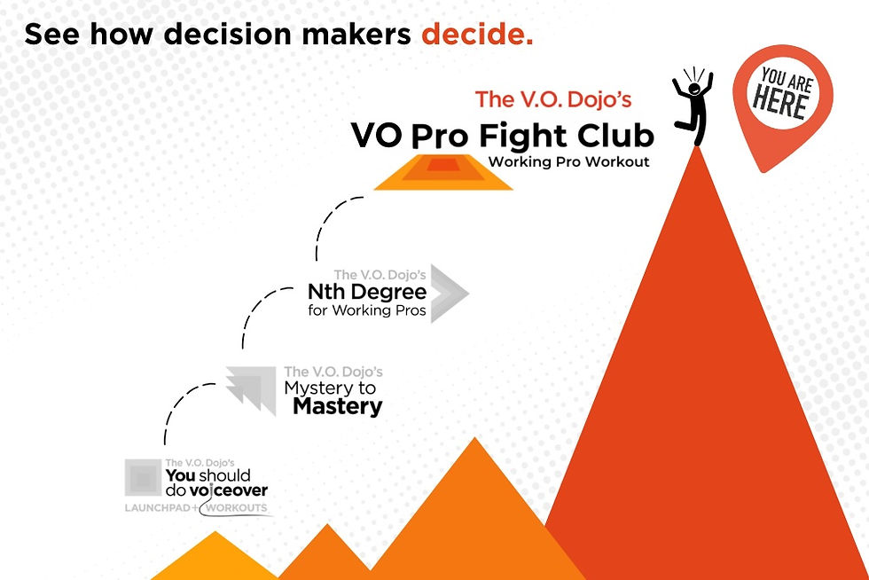 Decision-making infographic with orange mountains and a climber; text says See how decision makers decide and VO Pro Fight Club.