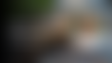 Beekeeping in Kenya with Maryann Frazier