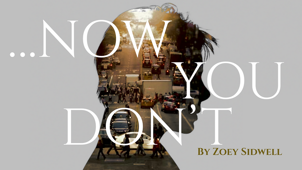 Silhouette of a person's profile blending with a busy street scene. Text overlay: "...NOW YOU DON’T" by Zoey Sidwell. Urban mood.