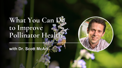 What You Can Do to Improve Pollinator Health with Dr. Scott McArt