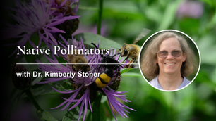 Native Pollinators with Dr. Kimberly Stoner
