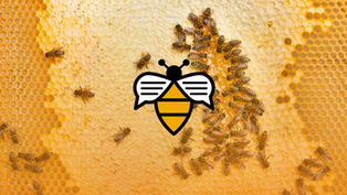 Bee Talks Recap | March 2025