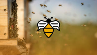 Bee Talks