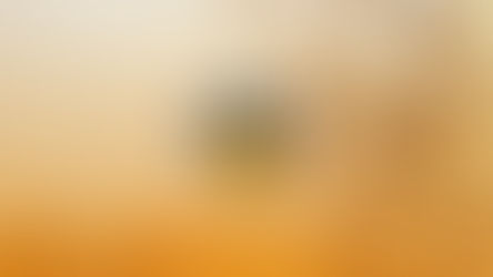 Bees on a honeycomb background with a black and yellow bee logo in the center. The mood is busy and industrious.