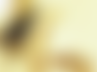 Take Control Of The Voice Within