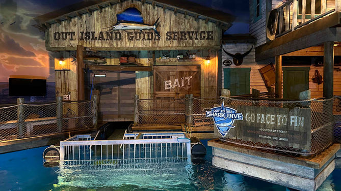 shark week at wonders of wildlife