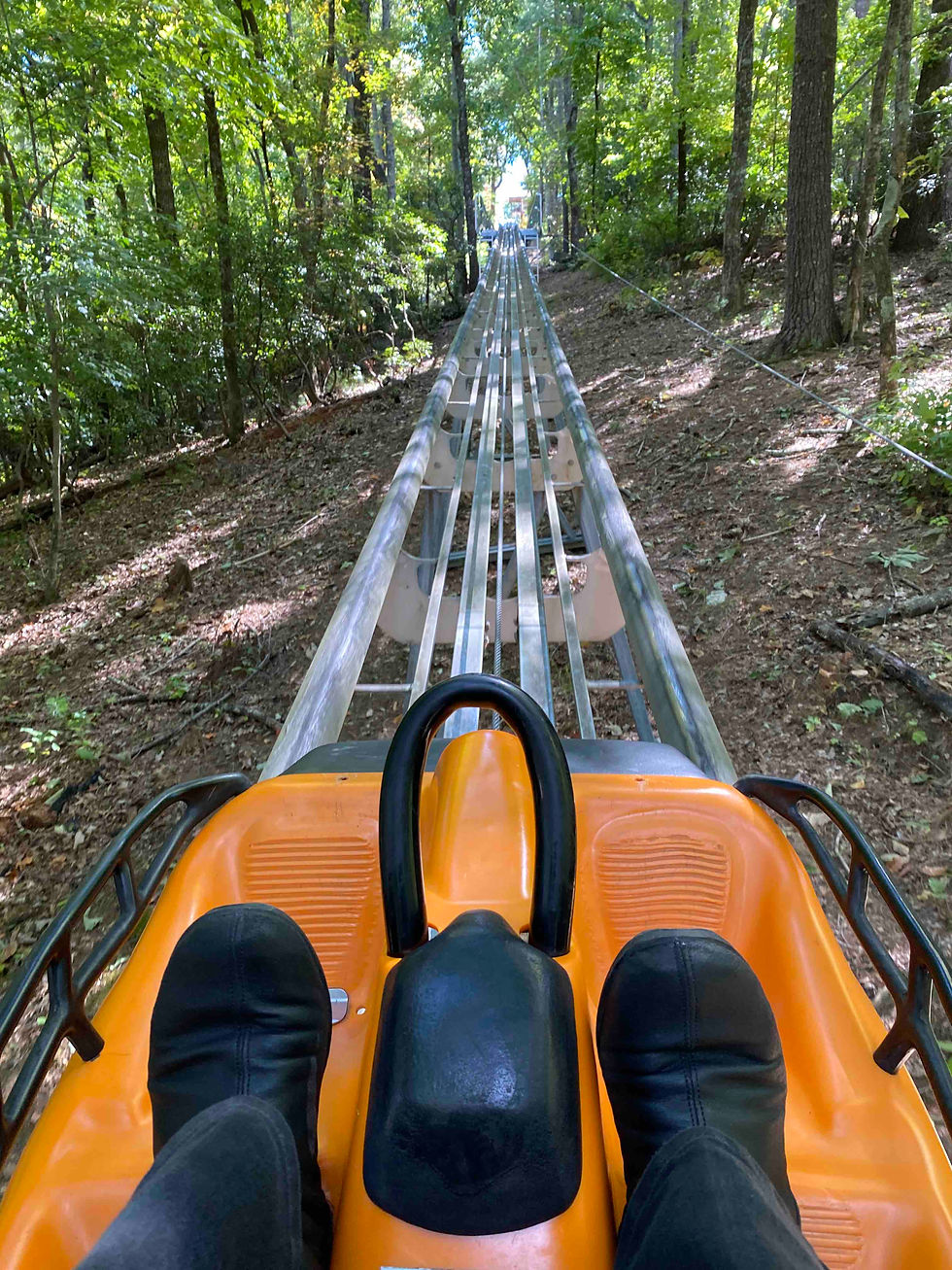 Georgia Mountain Coaster
