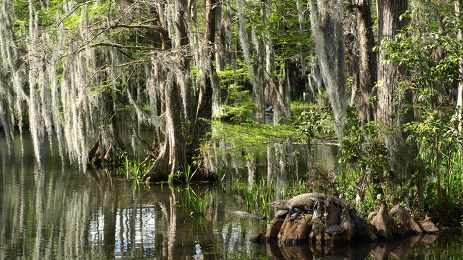 The haunts of Cajun Country
