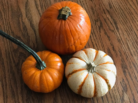 Happy Halloween Y'all & Hail Witches!