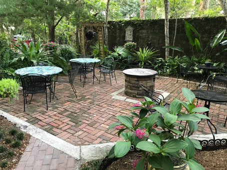 Lily at the St. Francis Inn