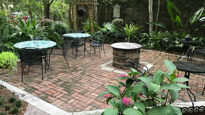 Lily at the St. Francis Inn