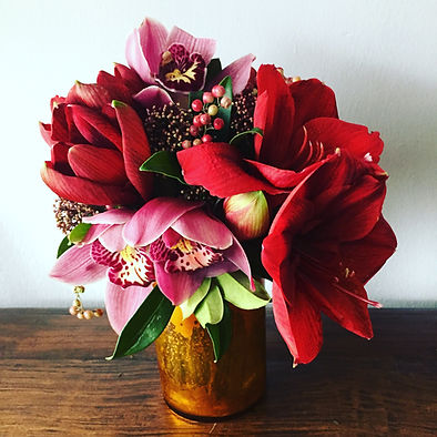 Pepper Red Amaryllis