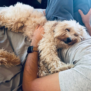 Hundebetreuung Männedorf 8708
Hundebetreuung Stäfa 8712
Hundesitter Männedorf 8708
Hundesitter Stäfa 8712
Hundebetreuer in der Nähe
Hundebetreuung in der Nähe
Hundebetreuer in Männedorf 8708
Hundebetreuer in Stäfa 8712
Hundebetreuer in Uetikon am See 8707
Familiäre Hundepension
Hundebetreuung mit Abholung in Stäfa und Männedorf
Welpenbetreuung Männedorf
Welpenbetreuung Stäfa
Welpenbetreuung Uetikon am See
Beste Hundepension Männedorf
Beste Hundepension Stäfa
Hundeparadies Männedorf 8708
Dogsitter Stäfa 8712
Dogsitter Männedorf 8708
Dogsitter Uetikon am See 8707
Hundebetreuung Uetikon am See 8707
Hundesitter Uetikon am See 8707
Betreuung Hund Männedorf
Betreuung Hund Stäfa
Betreuung Hund Uetikon am See
Hundetagesstätte Männedorf 8708
Hundetagesstätte Stäfa 8712
Hundetagesstätte Uetikon am See 8707
Tagesbetreuung Hund
Dogwalker
Dogwalking
Hundehotel
Hund in Pension geben