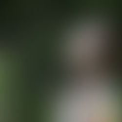 Wie Spiritualität unsere Gesundheit und innere Stärke stärkt