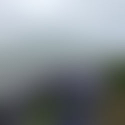 Wenn sich das Leben taub anfühlt – Wie der Freeze-Zustand unseres Nervensystems uns von uns selbst abschneiden kann