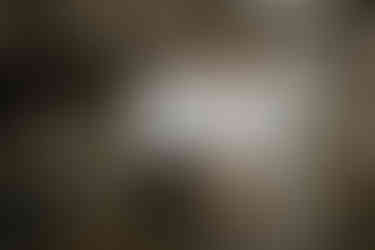 wedding 23 montrose street