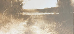 The Fields Beyond the Fields, oil 10x20 $2950