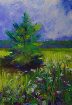 Summer Meadow, pastel 14x11 $400