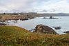 Erin-McQueen-therapy_coastal-cliffs.jpg