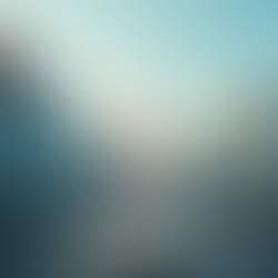 Understanding the EN590 10PPM Diesel Transaction Process and Pricing in Singapore