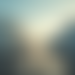 Unlocking Vopak's Houston Deal: 600,000 MT Fuel Available with Competitive Pricing Today