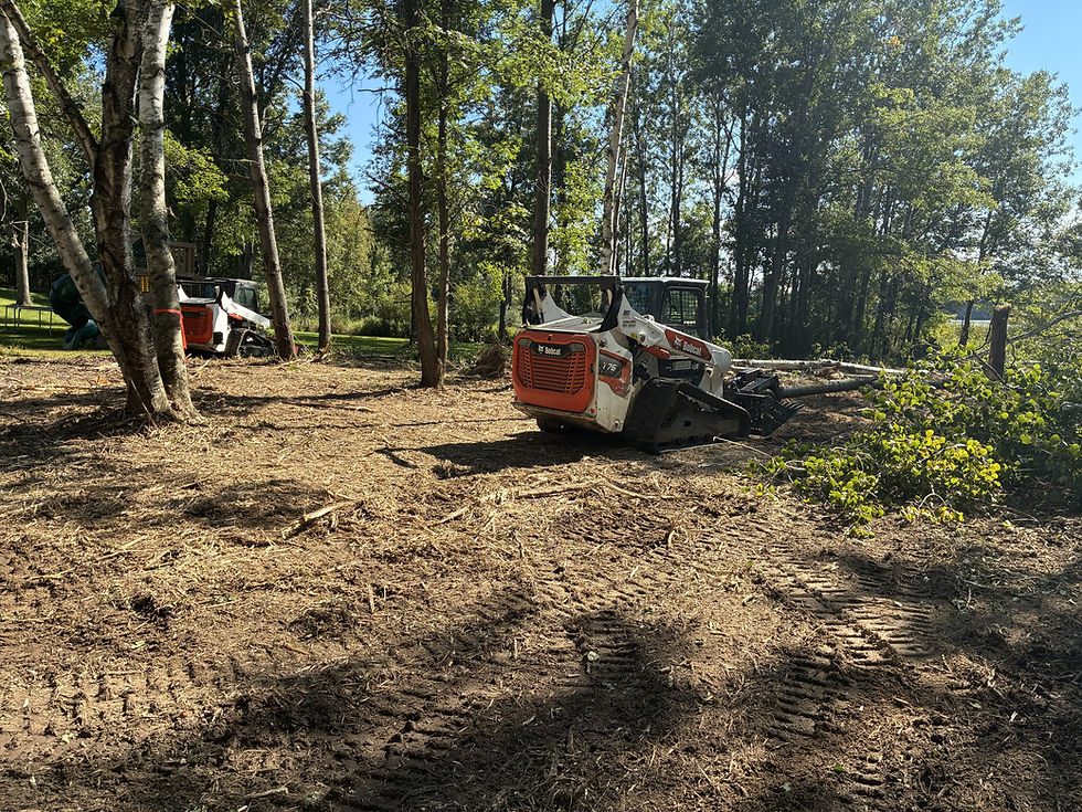 land clearing stillwater MN
