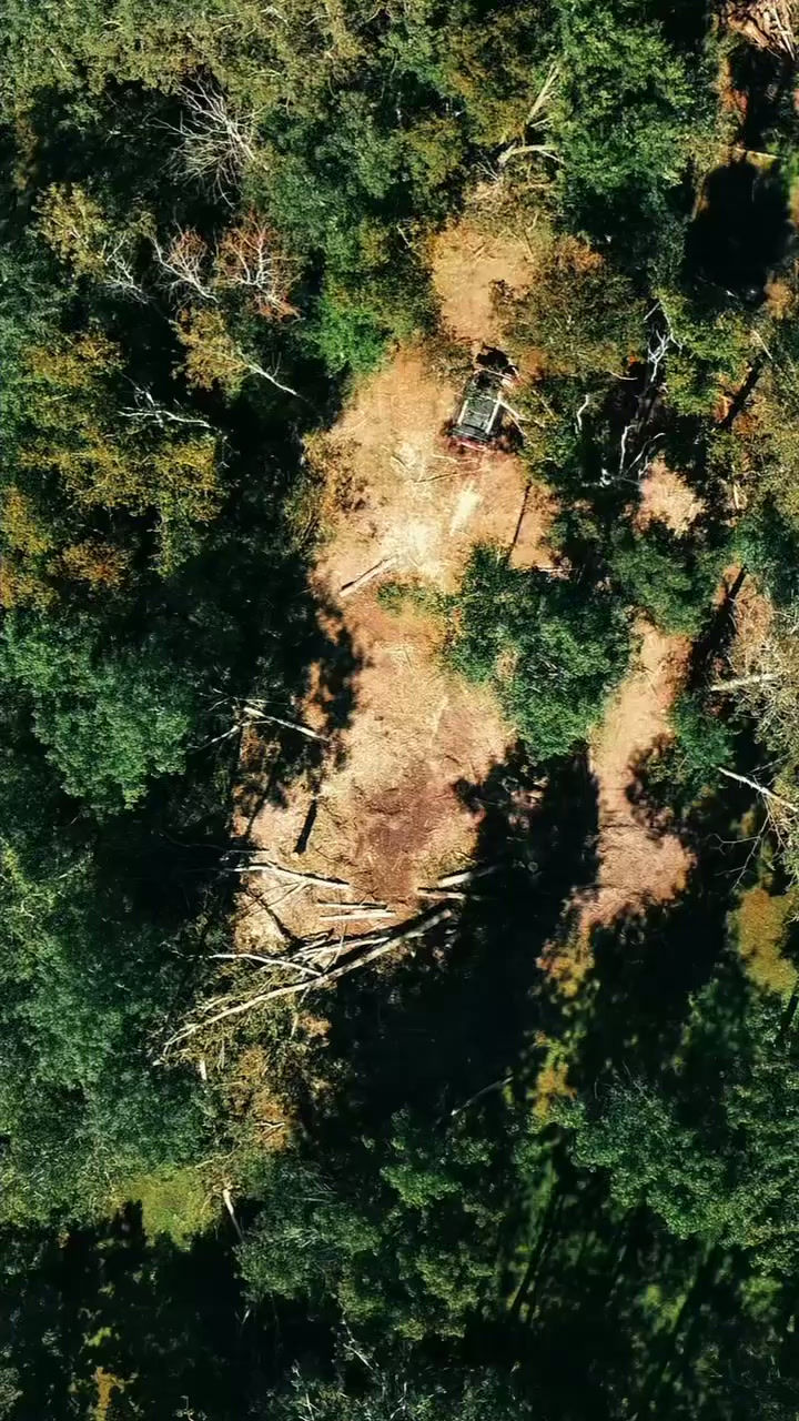 video of forestry mulching, tree removal, grapple work