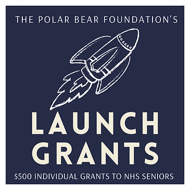 the polar bear foundation (2).png
