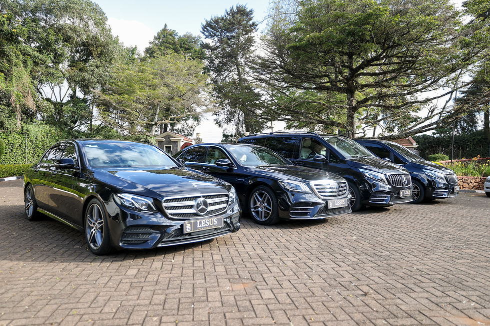 a fleet of luxury cars