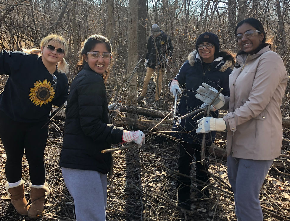 Forest Regeneration Project